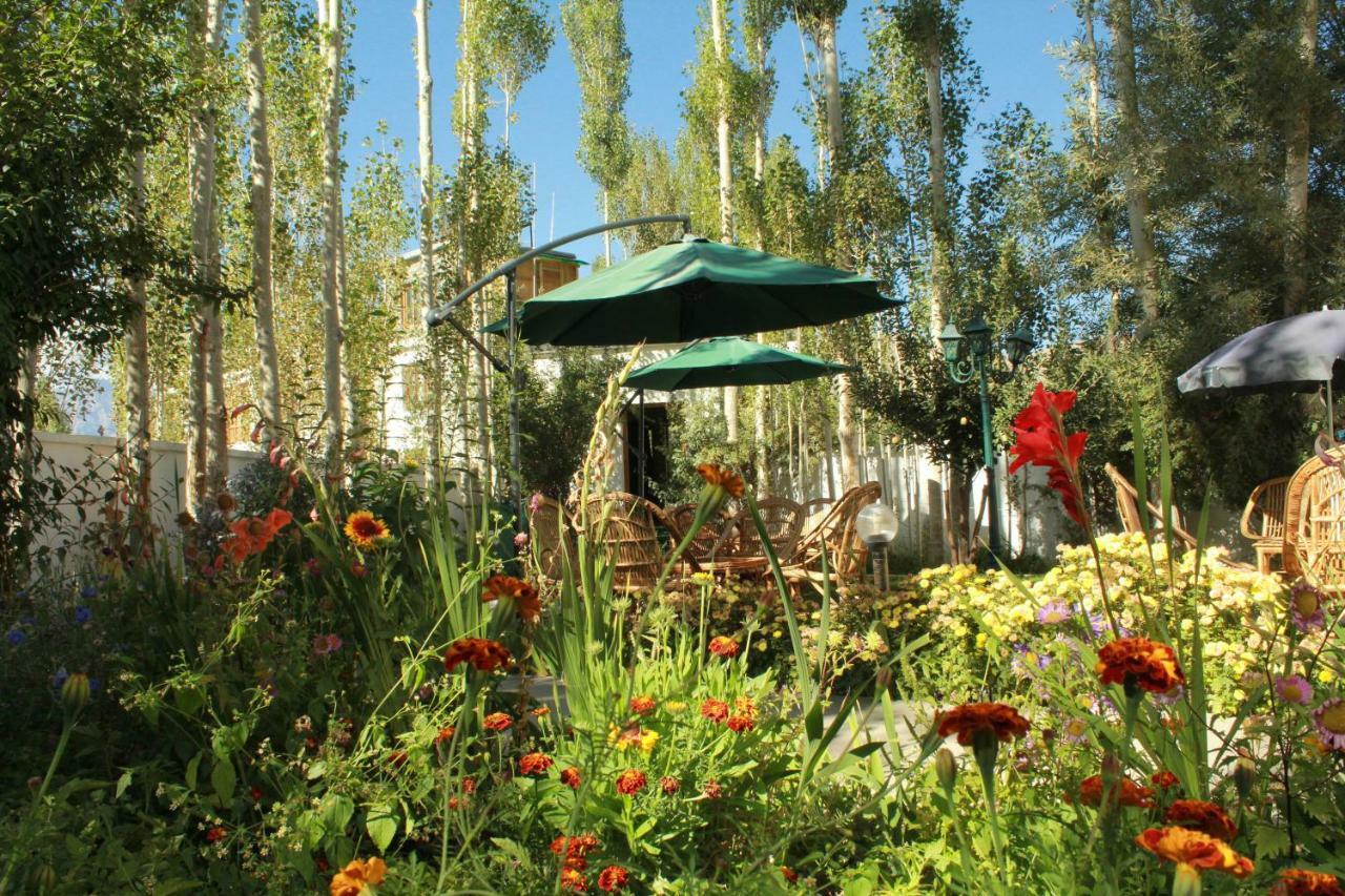 Hotel Ladakh Greens - An Organic Retreat Leh Zewnętrze zdjęcie